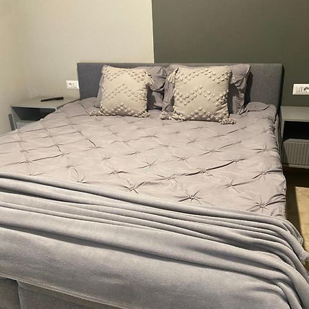 טימישוארה Apartamente Cu Un Dormitor מראה חיצוני תמונה