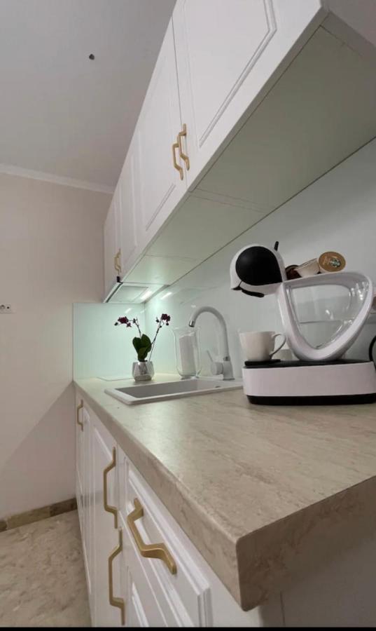 טימישוארה Apartamente Cu Un Dormitor מראה חיצוני תמונה
